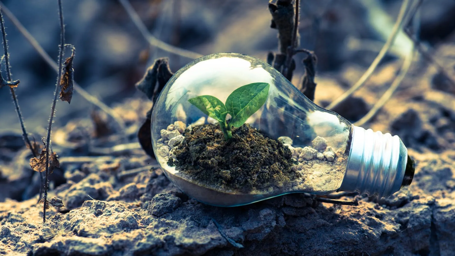 pexels-photo-1108572-e1706694279617